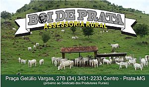 Carto de Visita 